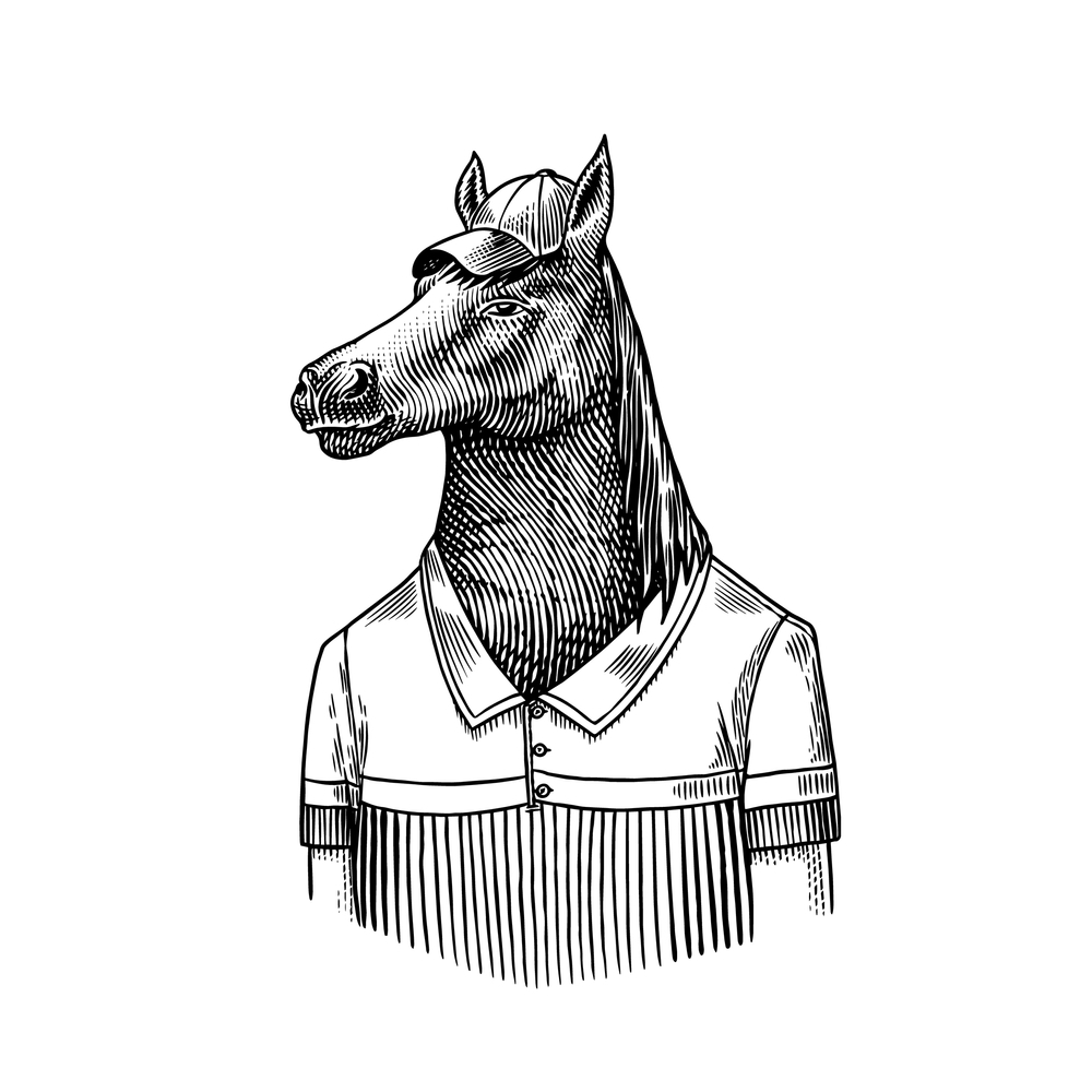 Horse Sketch Wearing Polo