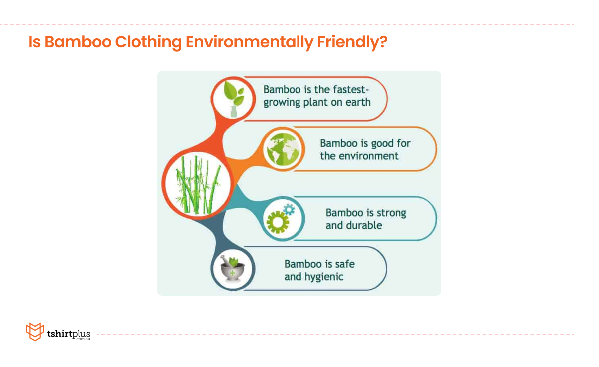Is Bamboo Clothing Environmentally Friendly
